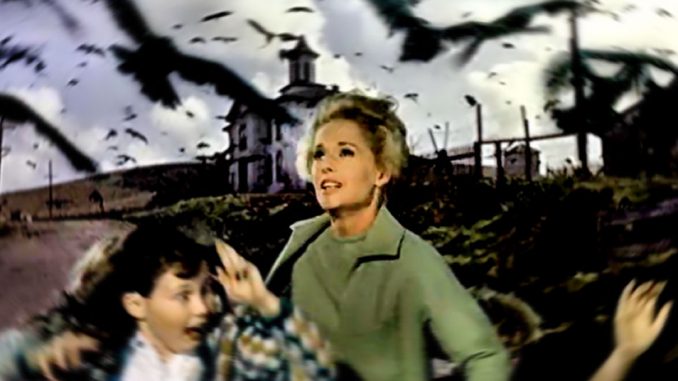 canada_the_birds_movie_still