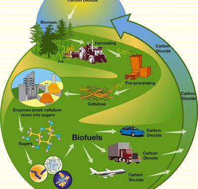 Biofuel Production Biofuel Production