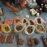 health_ayurveda11