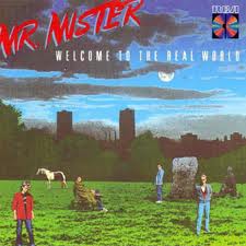 MrMister-WelcomeToTheRealWorld MrMister-WelcomeToTheRealWorld
