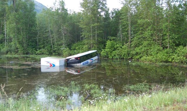 One hurt as Greyhound bus avoids moose lands in BC swamp One hurt as Greyhound bus avoids moose lands in BC swamp