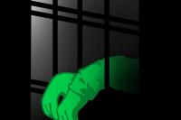 middleeast_hungerstrike