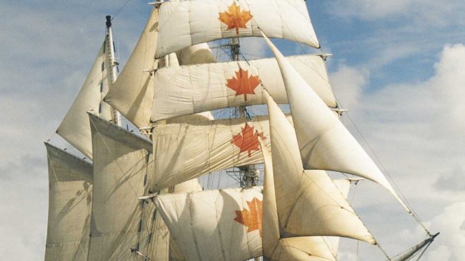 Lack of trained crew member caused the Concordia tall ship to sink Lack of trained crew member caused the Concordia tall ship to sink