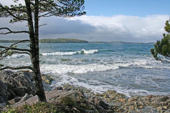 canada_vancouvar_island