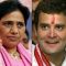 Mayawati wary of Rahul Gandhi