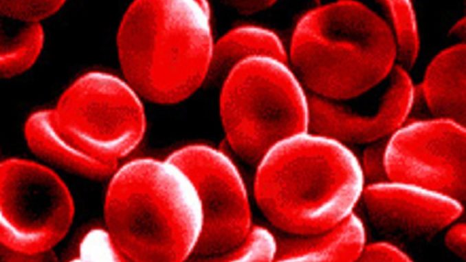 blood_cells