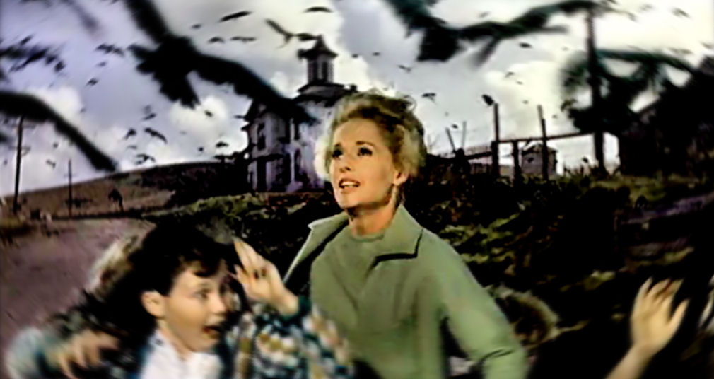 canada_the_birds_movie_still
