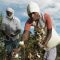 Cotton growing farmers