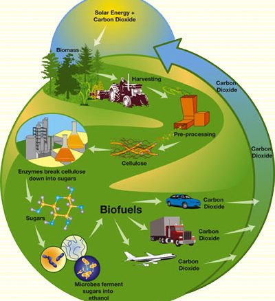 Biofuel Production