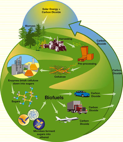 Biofuel Production Biofuel Production