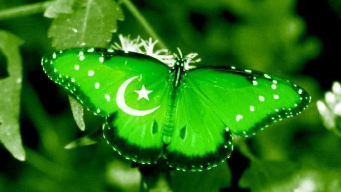 pakistanflag