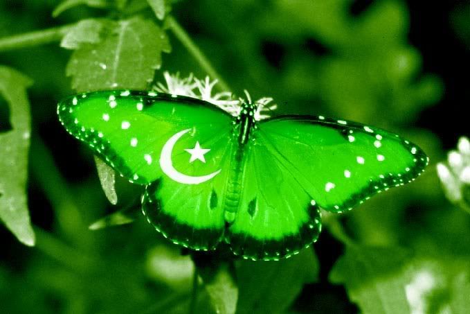 pakistanflag