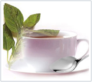 basiltea basiltea