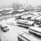 Snow-fall in Srinagar