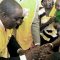 Health Minister Dr. Michael Milli Hussein administers polio vaccine to a child during the launch of the campaign in Juba