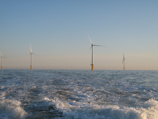 america_WindFarm