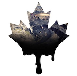 canada_oilyleaf