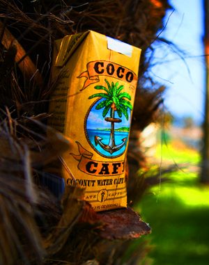Photo: Courtesy of Coco Café Photo: Courtesy of Coco Café