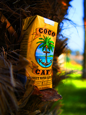 Photo: Courtesy of Coco Café Photo: Courtesy of Coco Café