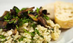 risotto risotto