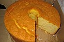 spongecake spongecake