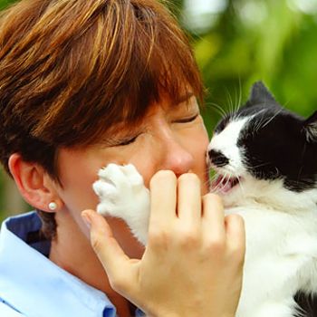 health_Dealing_With_Cat_Scratches