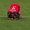 Toronto FC forward Ryan Johnson hangs his head in frustration after a missed opportunity in a 1-0 loss to Chivas USA on Saturday afternoon at BMO Field (JP Dhanoa)