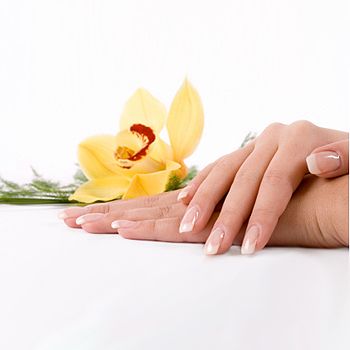 images_Lifestyle_Fashion_5_Reasons_to_Have_Long_Nails