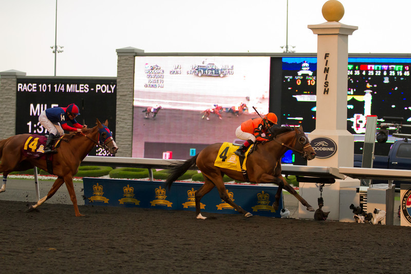 Jockey Justin Stein leads Strait of Dover over the finish line ahead of Irish Mission to capture the 153rd Queen's Plate at Woodbine Racetrack on Sunday (JP Dhanoa) Jockey Justin Stein leads Strait of Dover over the finish line ahead of Irish Mission to capture the 153rd Queen's Plate at Woodbine Racetrack on Sunday (JP Dhanoa)