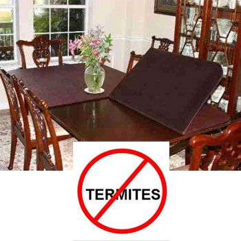 images_Lifestyle_Homes_how_to_keep_your_furniture_termite_free
