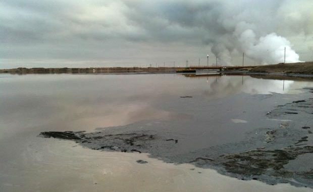 Alberta Decides Not to Charge Oilsands Companies for 2010 Bird Deaths Alberta Decides Not to Charge Oilsands Companies for 2010 Bird Deaths