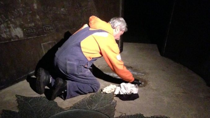 Police Investigates Vandalized War Memorial in Coronation Park