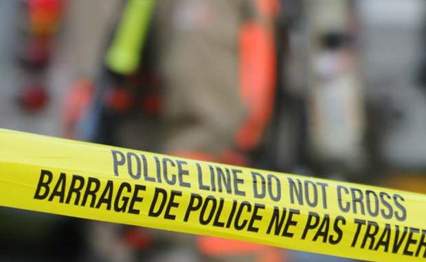 images_News_Canada_lion-bridge-accident