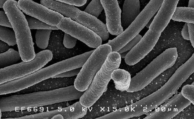 images_News_Canada_ecoli-threat