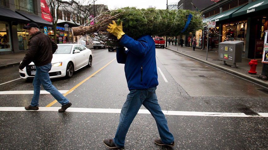 images_News_Canada_hi-christmas-tree-cp-037098