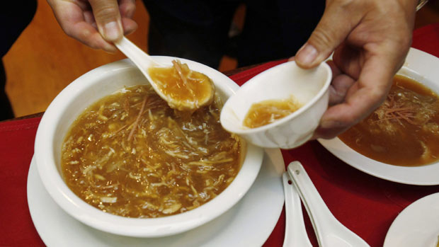 images_News_Canada_li-620-shark-fin-cp