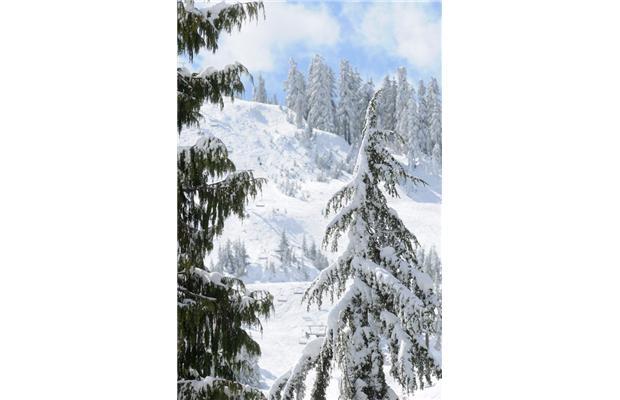 images_News_Canada_lostsnowboarder