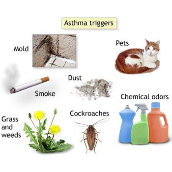 images_Lifestyle_Health_5_common_asthma_triggers