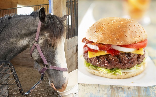 images_News_England_horse-burger-2_2452857b