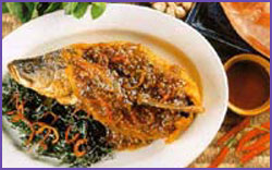 images_Lifestyle_Food_fish111