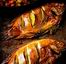 images_Lifestyle_Food_tilapia6664
