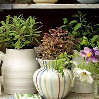 images_Lifestyle_Homes_garden_decor_with_ceramic_jugs