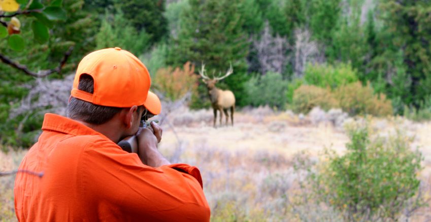 images_News_Australia_huntin