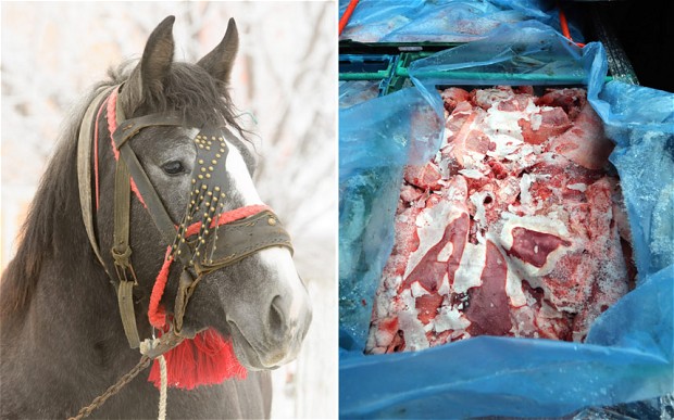 images_News_England_Horsemeat probe