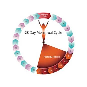 images_Lifestyle_Health_is_your_menstrual_cycle_normal