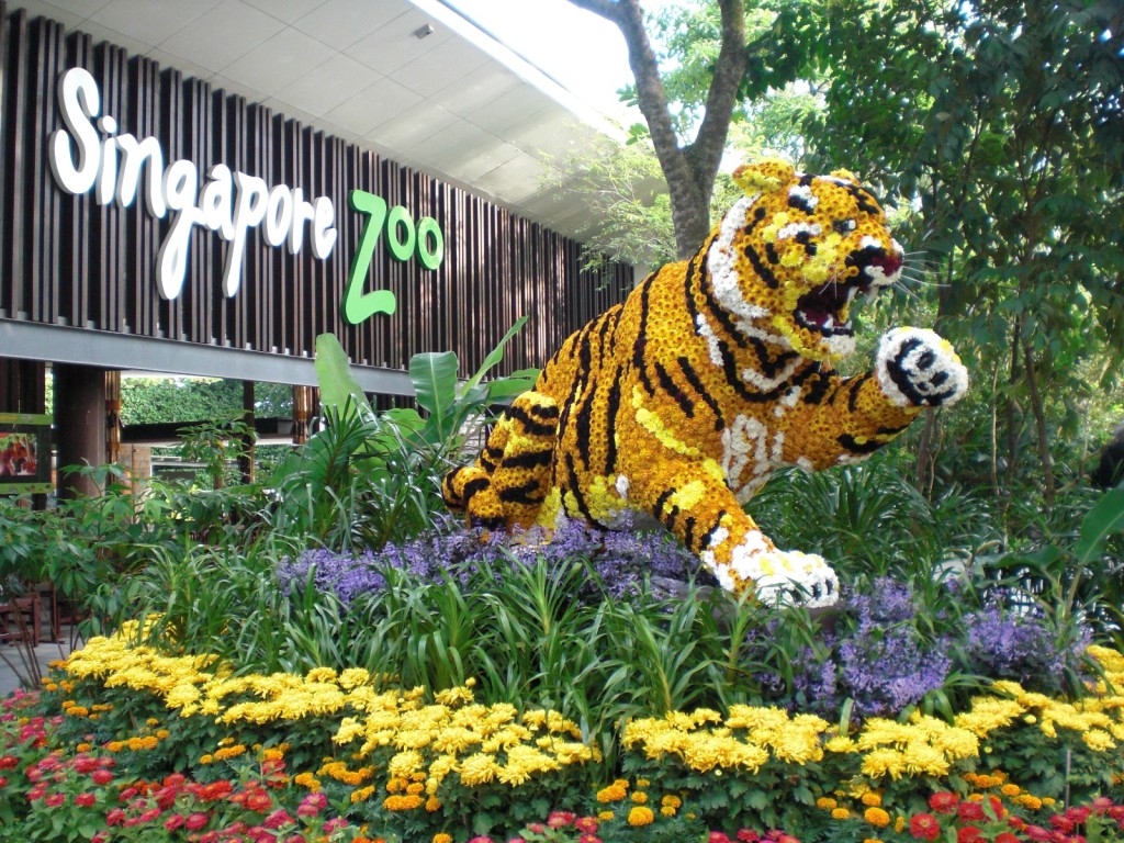images_News_Asia_singapore zoo