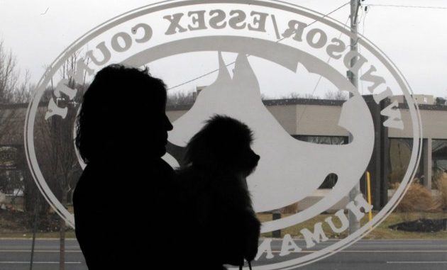 Animal Trapper Charged With Animal Abuse For Using Injured Pigeon as Bait Animal Trapper Charged With Animal Abuse For Using Injured Pigeon as Bait