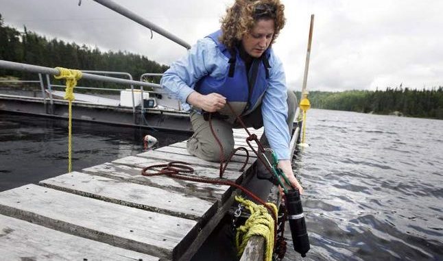 images_News_Canada_080729-ELA-FISH3_2307991