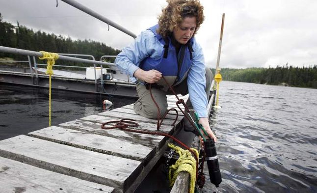 images_News_Canada_080729-ELA-FISH3_2307991