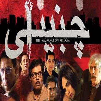 images_News_Pakistan_why_chambaili_must_watch